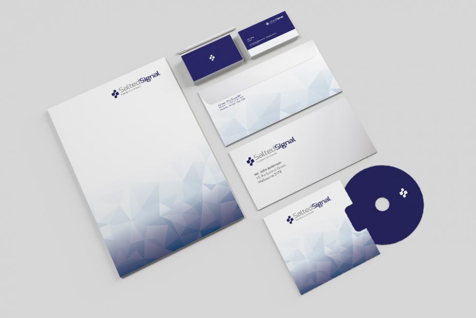 Salted Signal corporate branding featured image